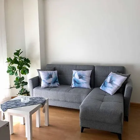 Apartman Schultz Gijón