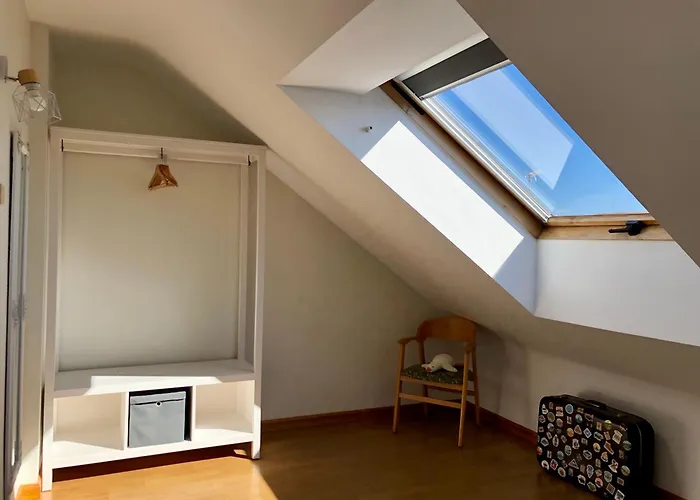 Apartament Schultz *