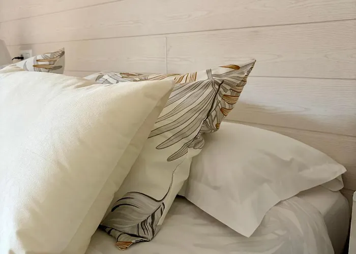 Apartament Schultz *